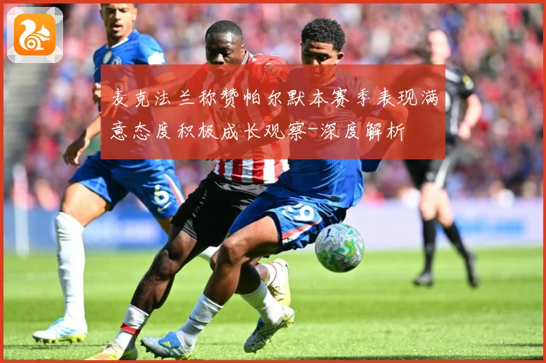 麦克法兰称赞帕尔默本赛季表现满意态度积极成长观察-深度解析